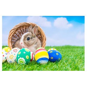Pasqua con chi vuoi… in biblioteca. Biblioteca di Sales (Sgonico), 10/4/19 Pasqua con chi vuoi… in biblioteca. Biblioteca di Sales (Sgonico), 10/4/19